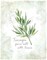 Fresh Tarragon Poster Print by Carol Robinson - Item # VARPDX17355